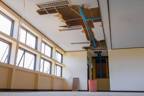 Best Water damage restoration near me  in Kent Estates, IA