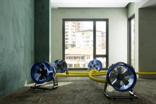 Best Basement water damage restoration  in Kent Estates, IA